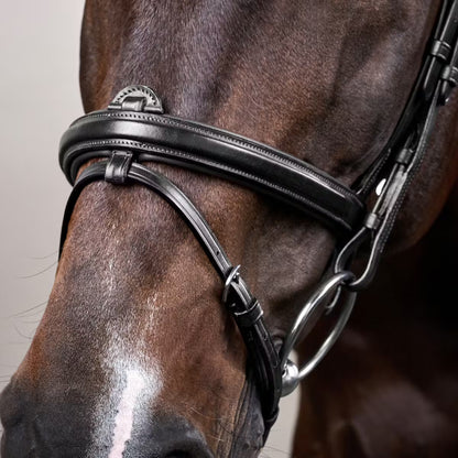 Dy'On Flash Noseband Bridle - New English Collection