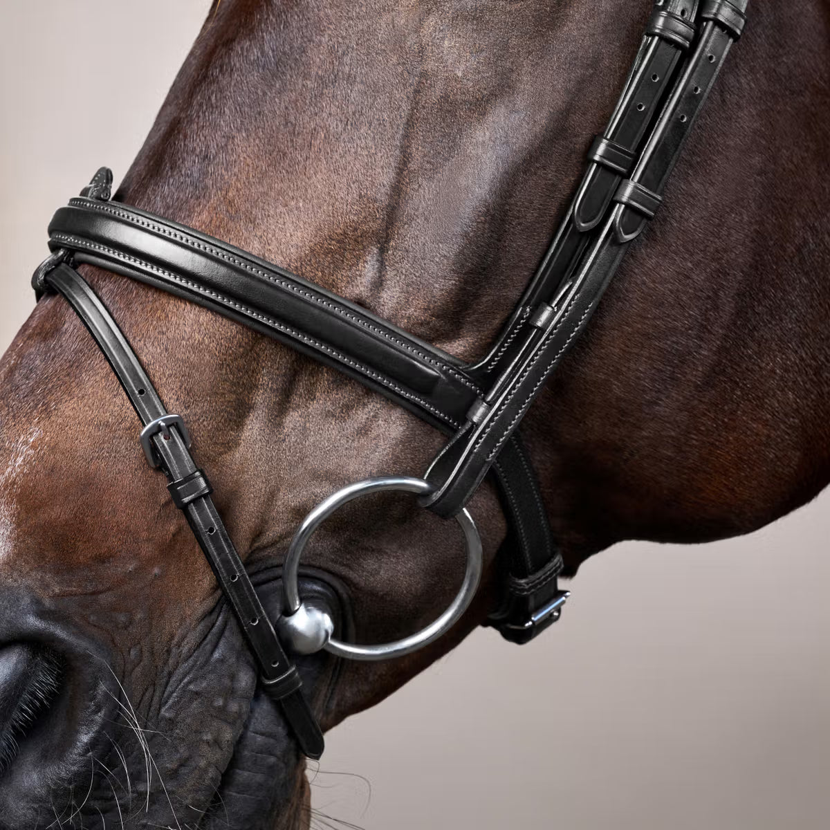 Dy'On Flash Noseband Bridle - New English Collection