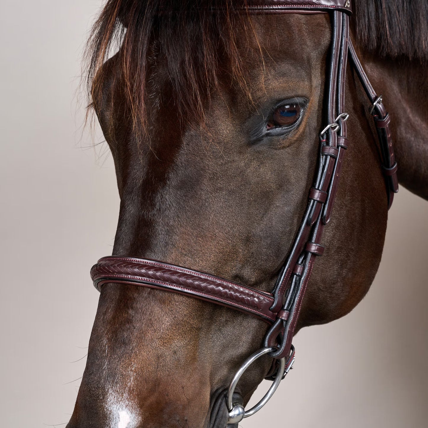 Dy'on Plaited Noseband Bridle without Flash - New English Collection