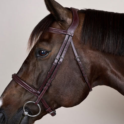 Dy'on Plaited Noseband Bridle without Flash - New English Collection