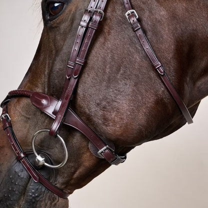 Dy'On Braided Noseband Bridle with Removable Flash - New English Collection