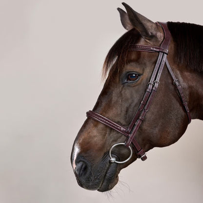 Dy'on Plaited Noseband Bridle without Flash - New English Collection