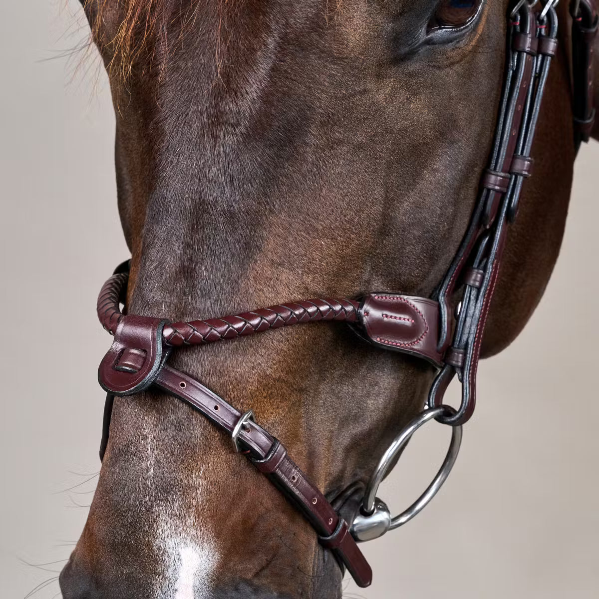 Dy'On Braided Noseband Bridle with Removable Flash - New English Collection