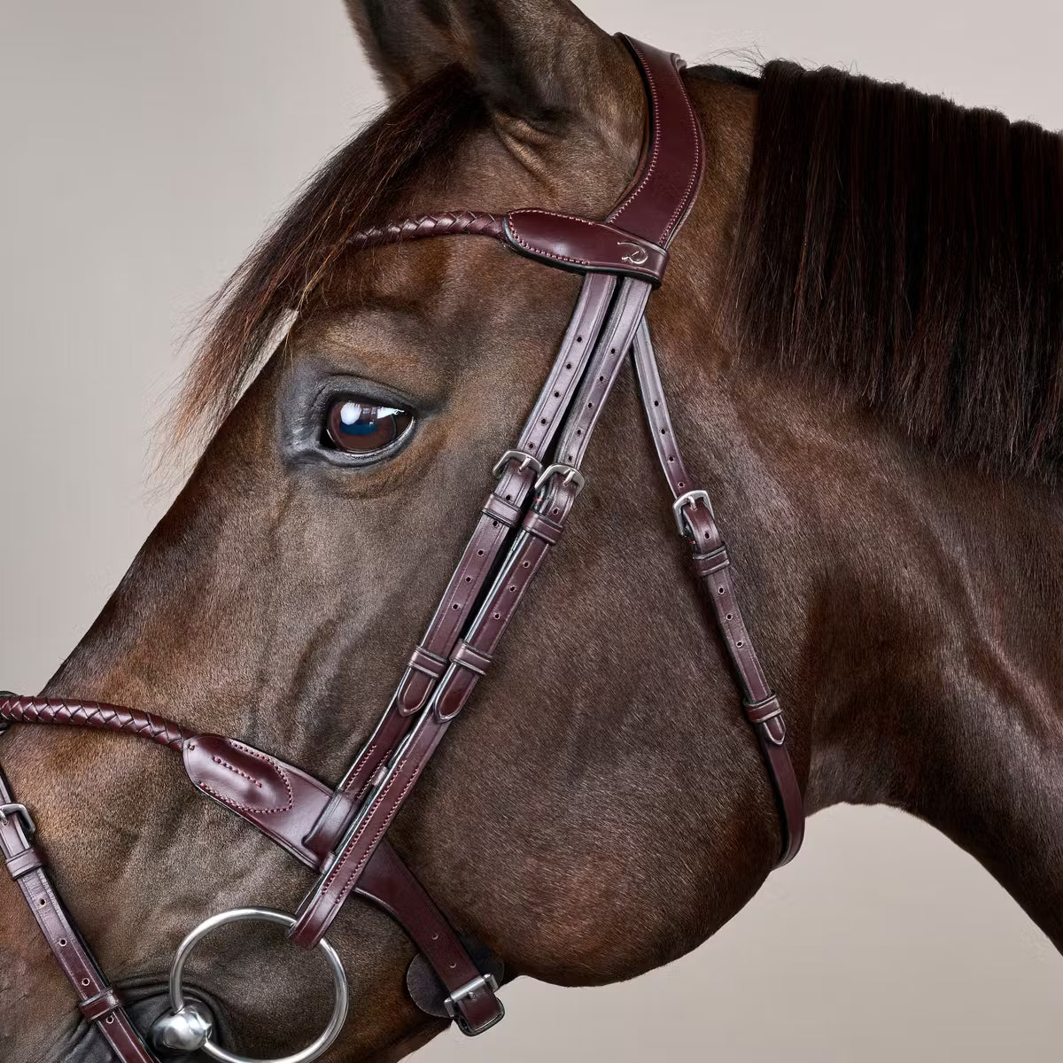 Dy'On Braided Noseband Bridle with Removable Flash - New English Collection