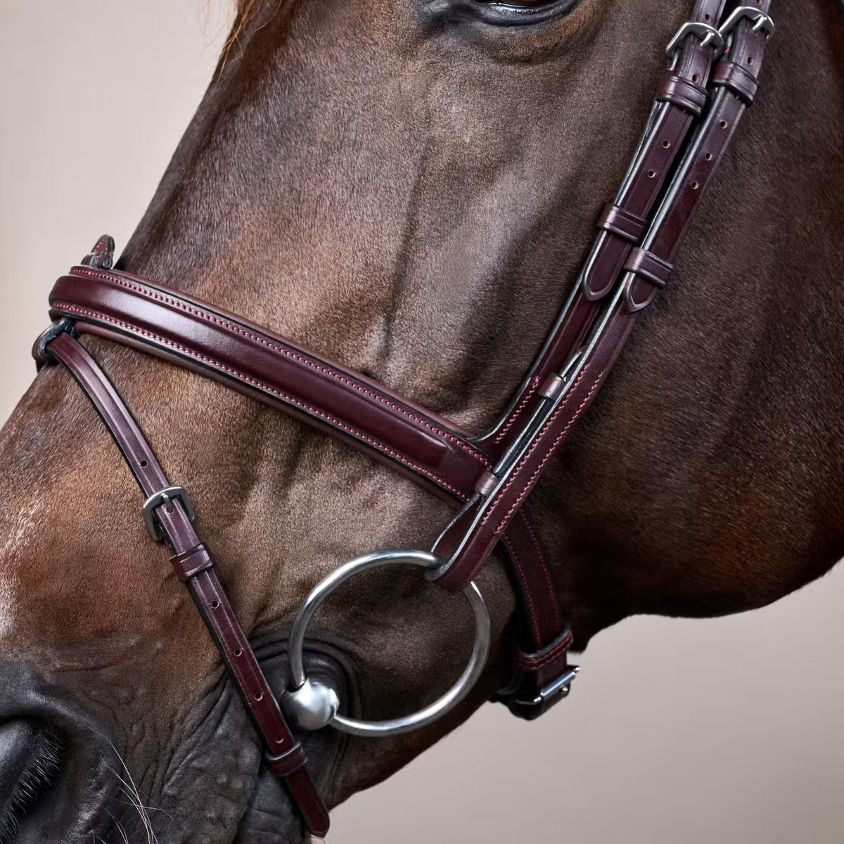 Dy'On Flash Noseband Bridle - New English Collection