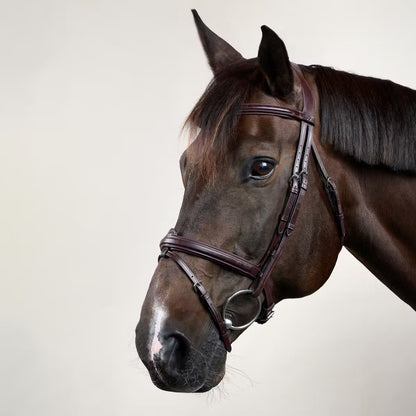 Dy'On Flash Noseband Bridle - New English Collection