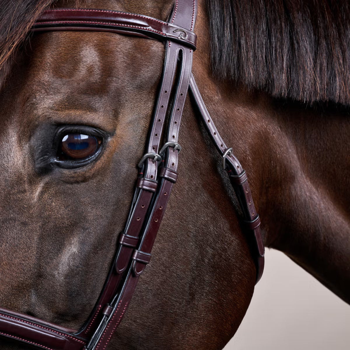 Dy'On Flash Noseband Bridle - New English Collection