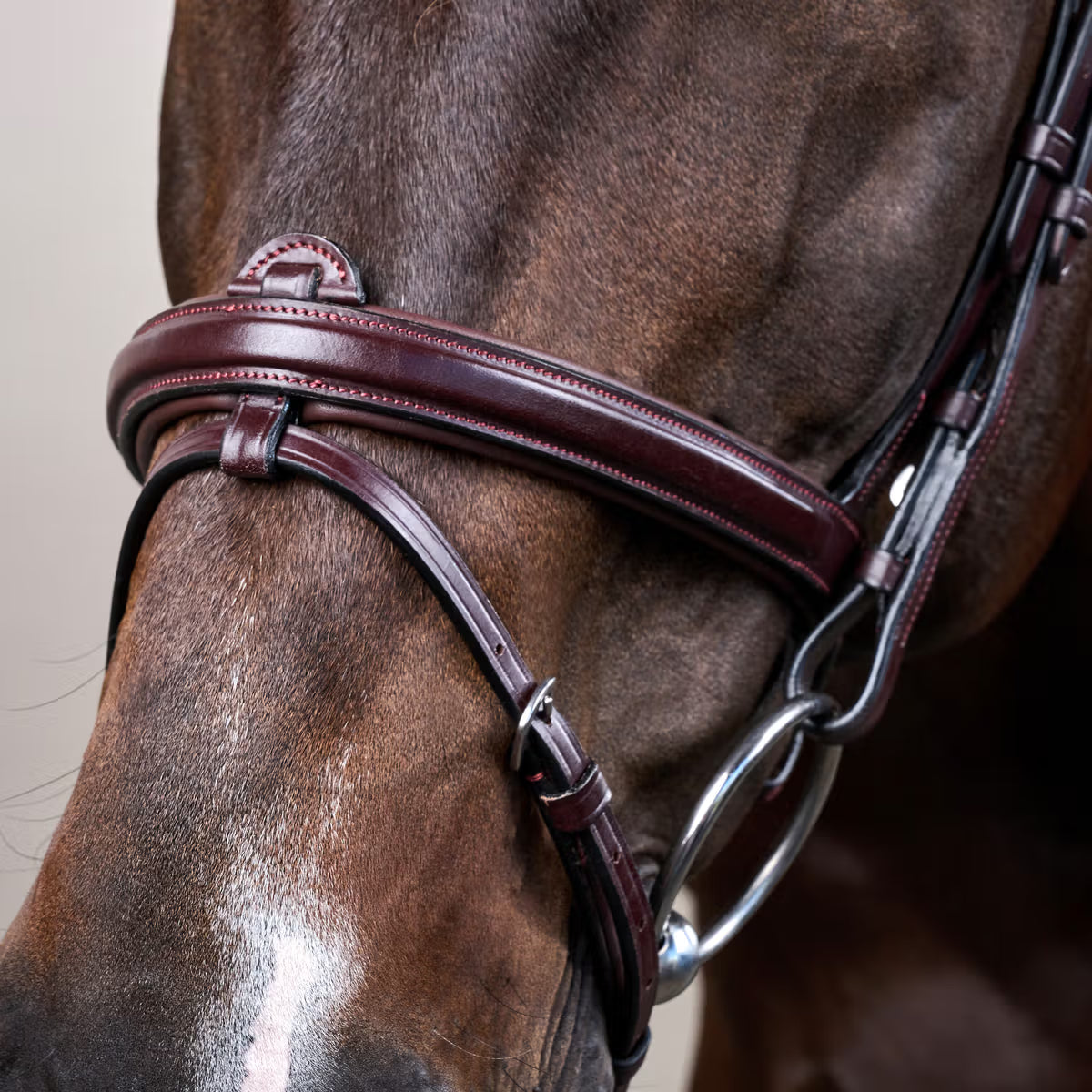 Dy'On Flash Noseband Bridle - New English Collection
