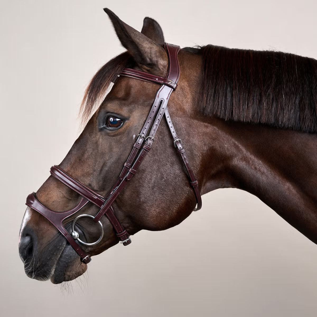 Dy'On Double Noseband Bridle - New English Collection