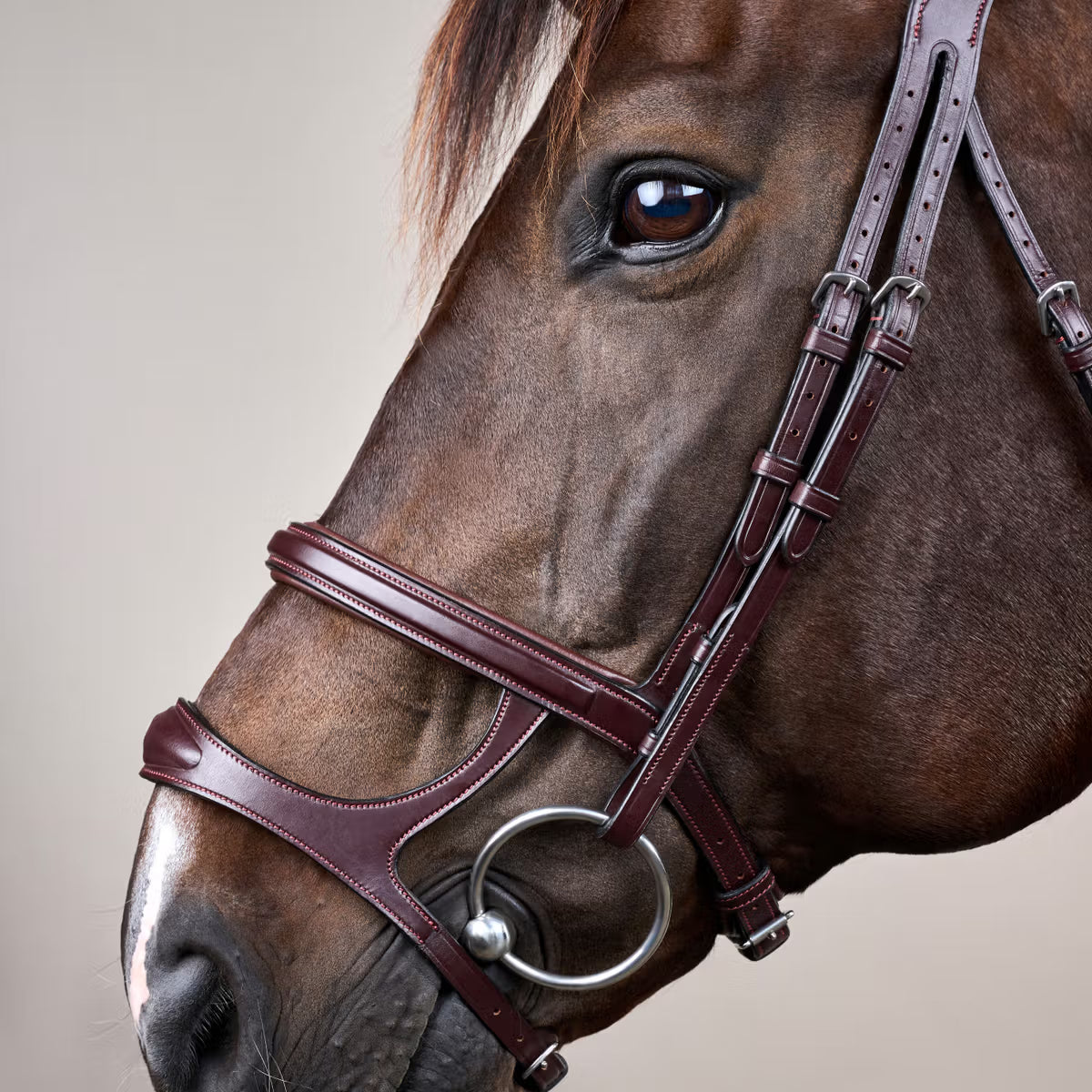 Dy'On Double Noseband Bridle - New English Collection
