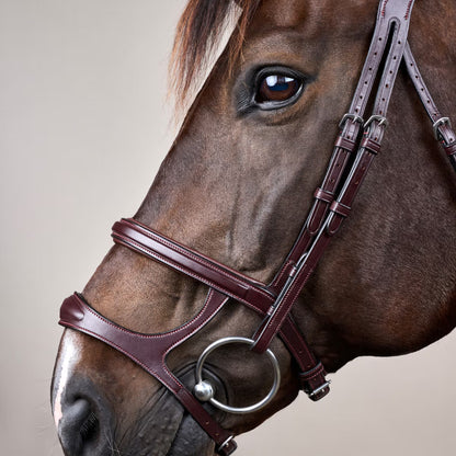 Dy'On Double Noseband Bridle - New English Collection