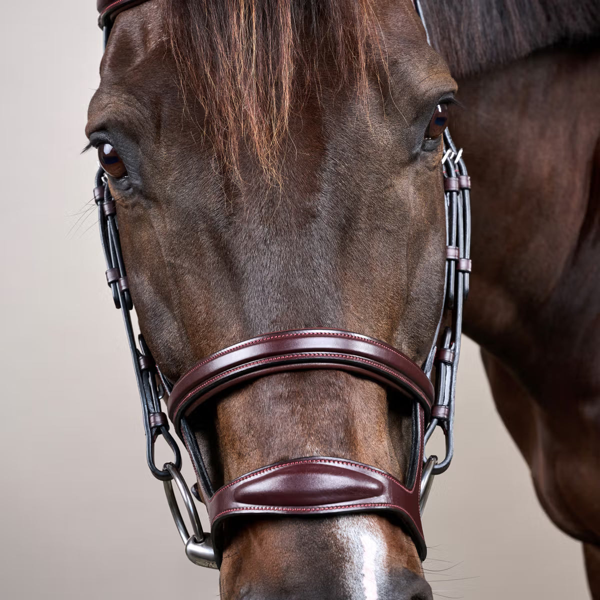 Dy'On Double Noseband Bridle - New English Collection