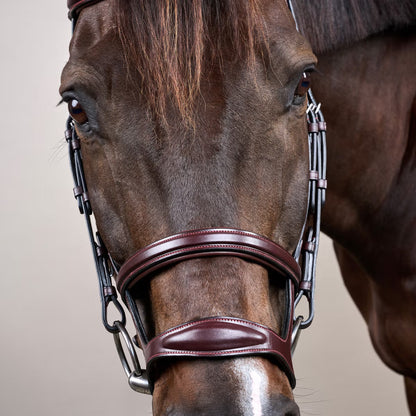 Dy'On Double Noseband Bridle - New English Collection