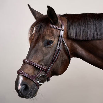 Dy'On Double Noseband Bridle - New English Collection