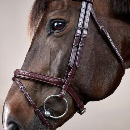 Dy'on Plaited Flash Noseband Bridle - New English Collection