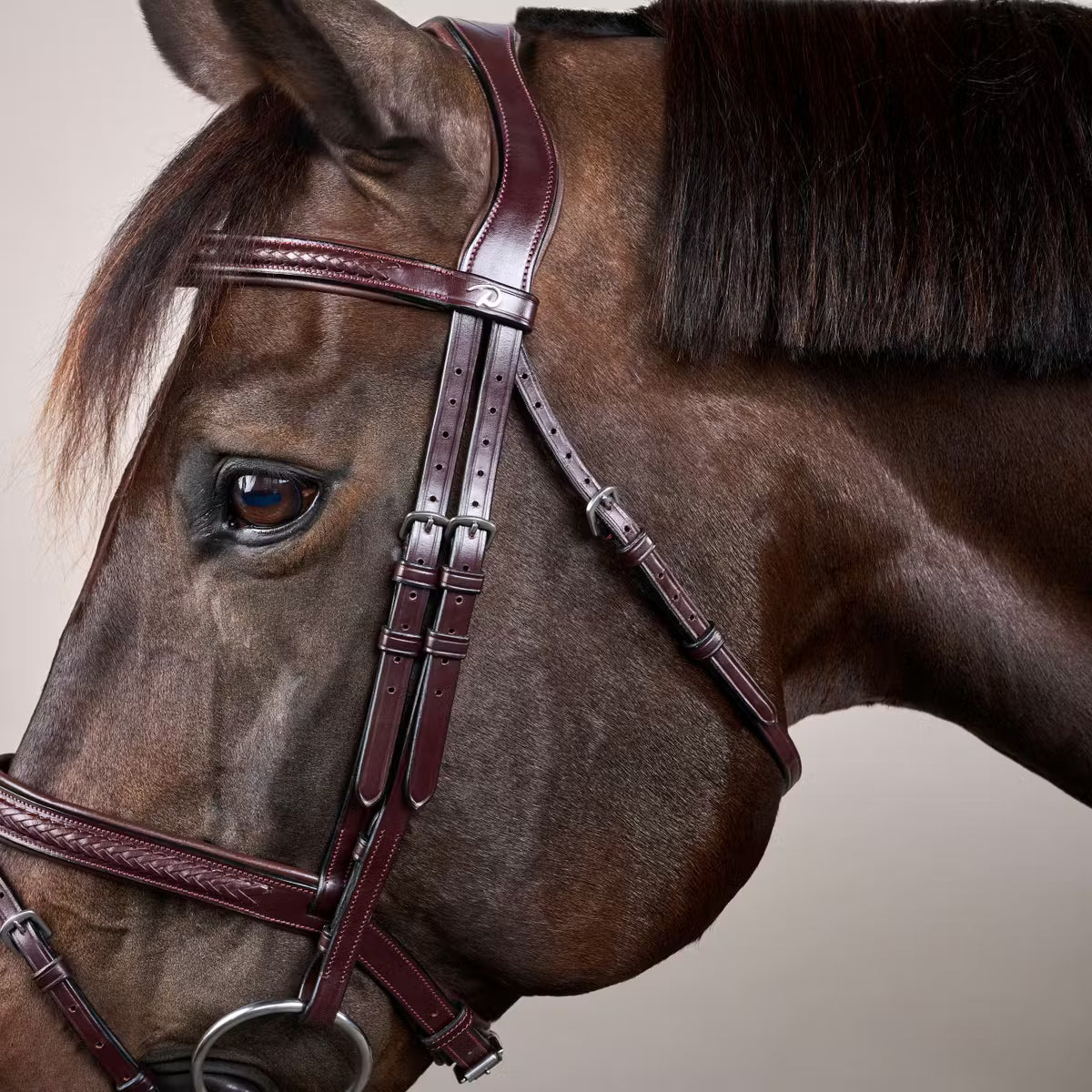Dy'on Plaited Flash Noseband Bridle - New English Collection