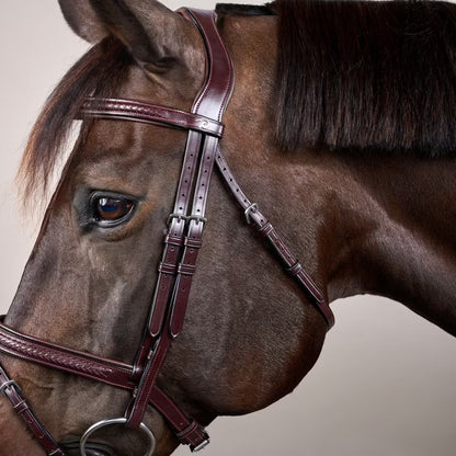 Dy'on Plaited Flash Noseband Bridle - New English Collection