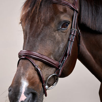Dy'on Plaited Flash Noseband Bridle - New English Collection