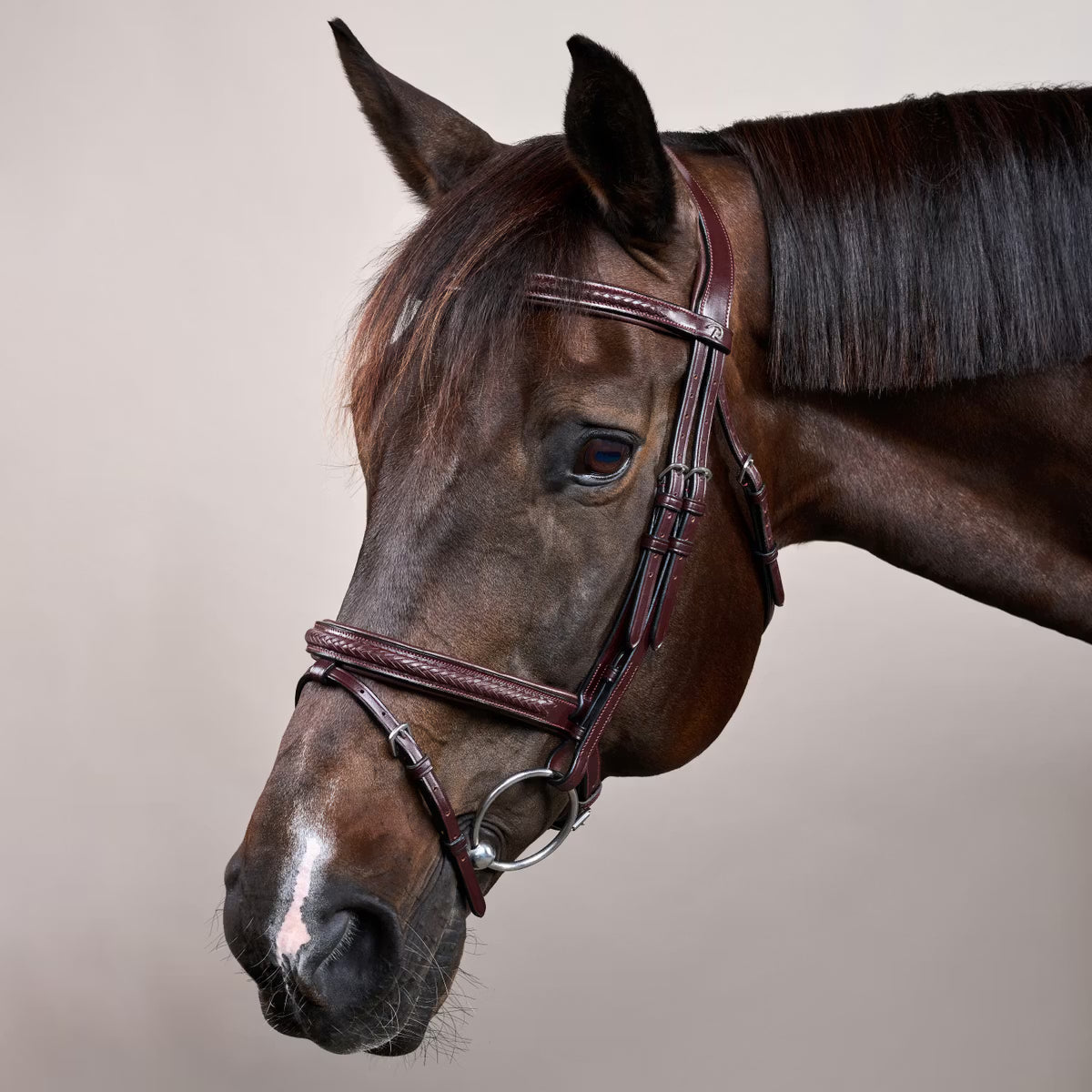 Dy'on Plaited Flash Noseband Bridle - New English Collection