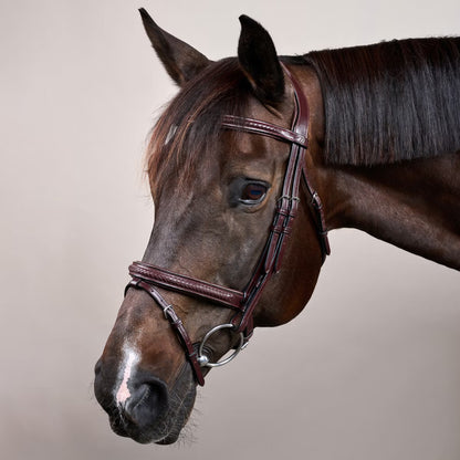 Dy'on Plaited Flash Noseband Bridle - New English Collection