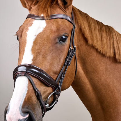 Dy'On Patent Large Crank Noseband Bridle with Flash - Working by Dy'On