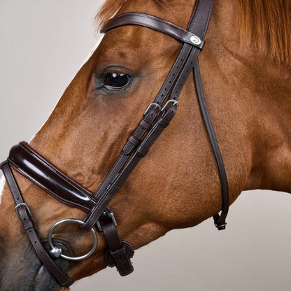 Dy'On Patent Large Crank Noseband Bridle with Flash - Working by Dy'On