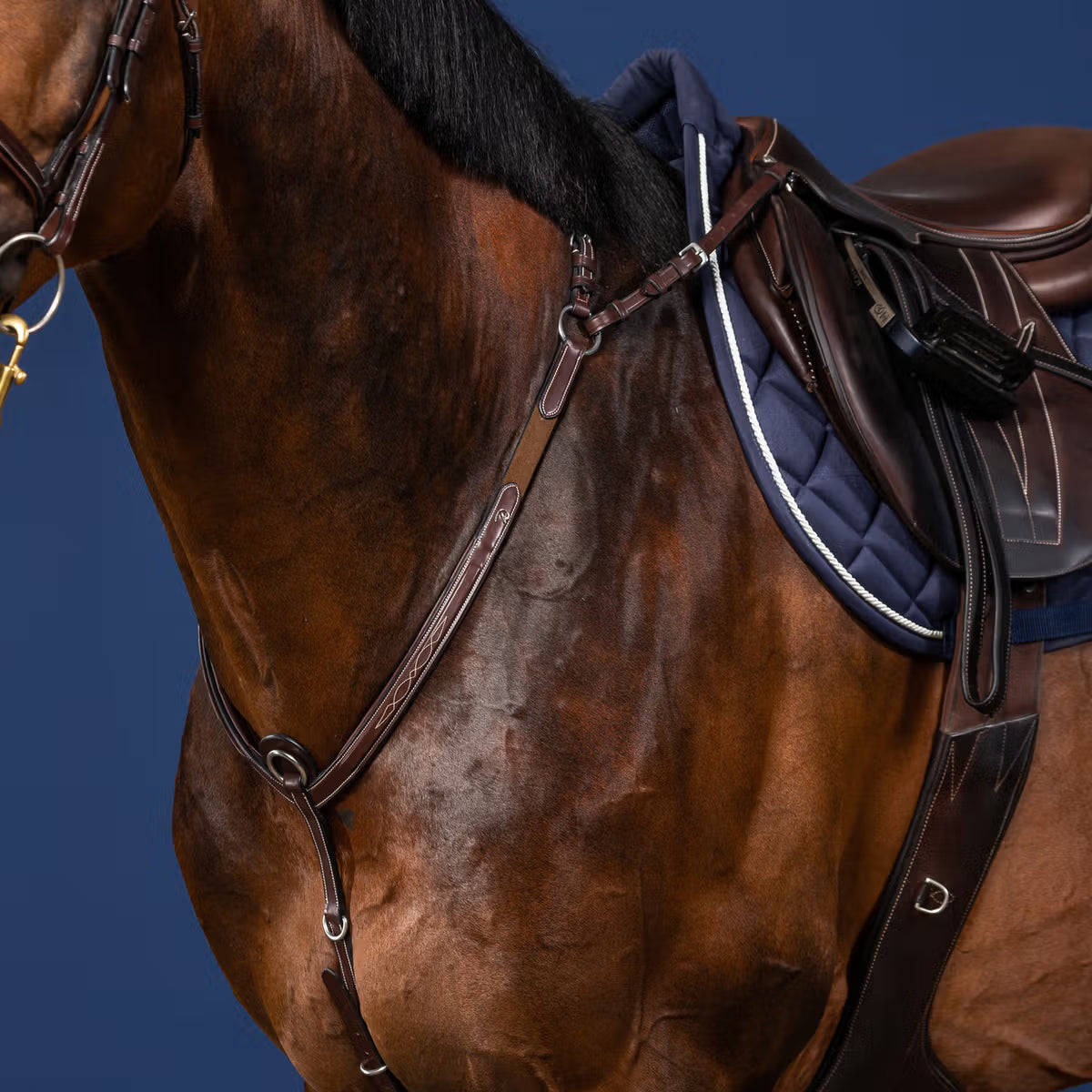 Dy'On Bridge Breastplate - US Jumping Collection