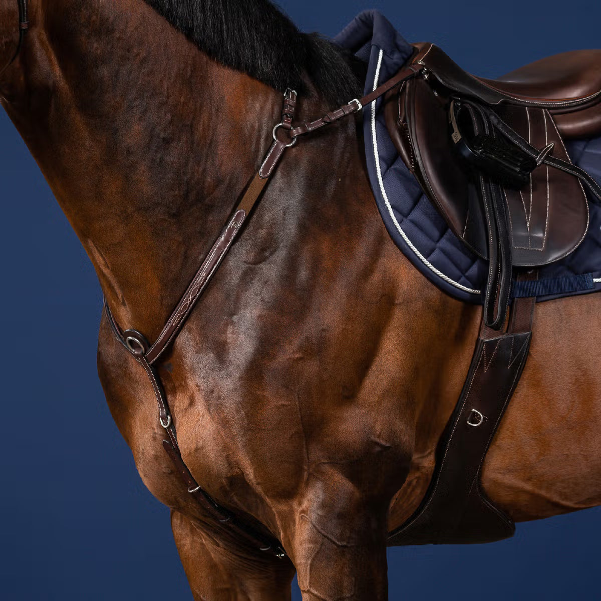 Dy'On Bridge Breastplate - US Jumping Collection
