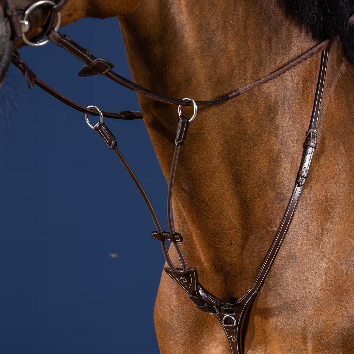 Dy'On Elastic Running Martingale Attachment - US Jumping Collection
