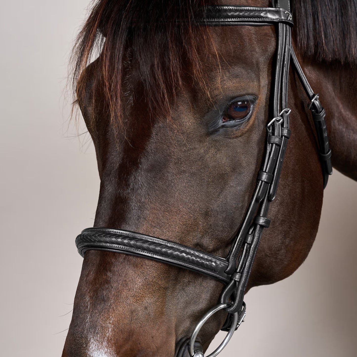 Dy'on Plaited Noseband Bridle without Flash - New English Collection