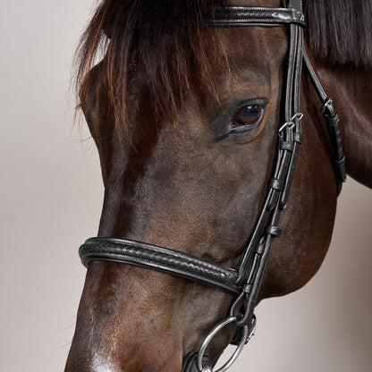 Dy'on Plaited Noseband Bridle without Flash - New English Collection
