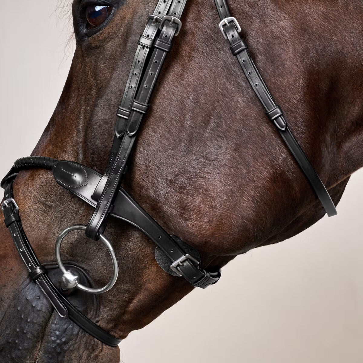Dy'On Braided Noseband Bridle with Removable Flash - New English Collection