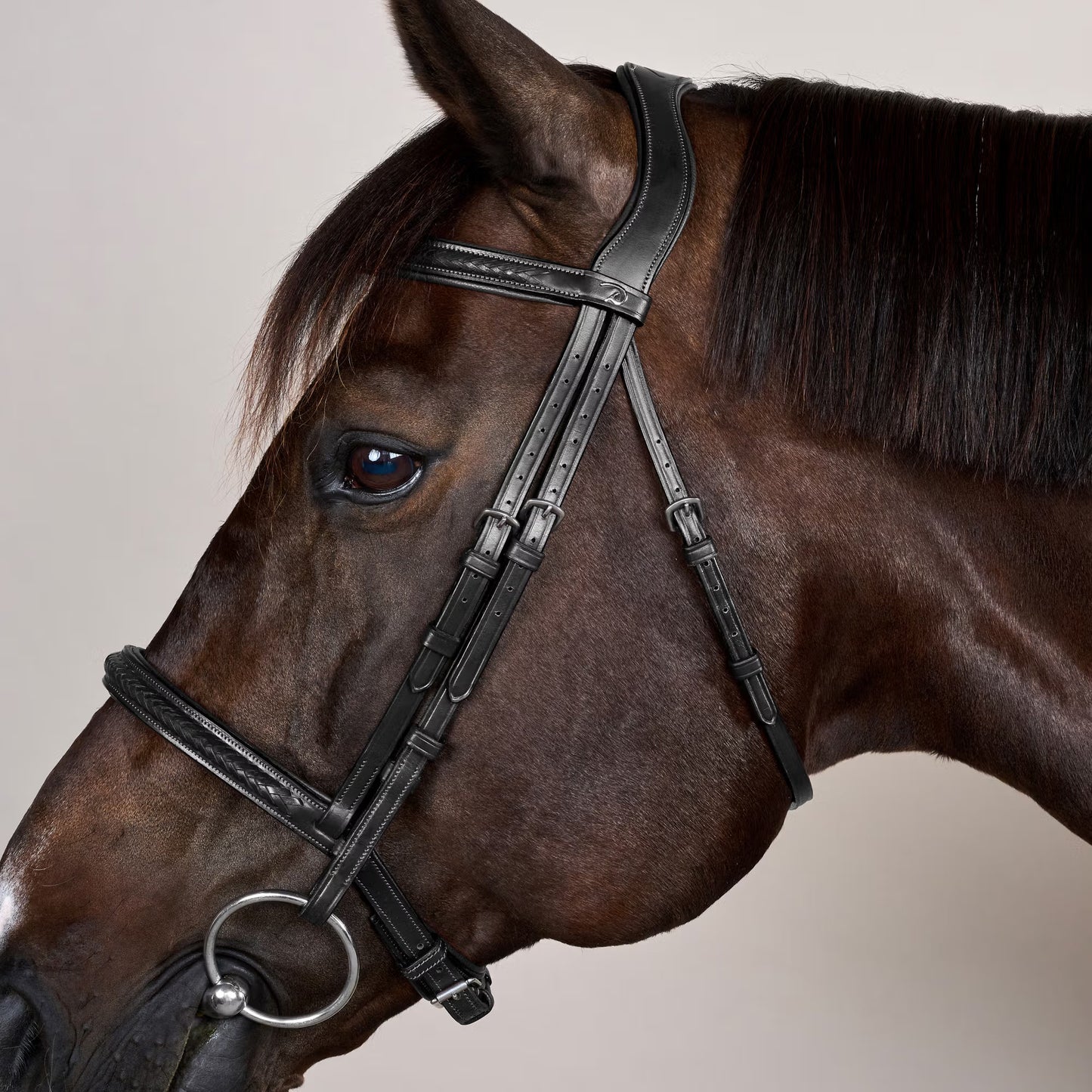 Dy'on Plaited Noseband Bridle without Flash - New English Collection