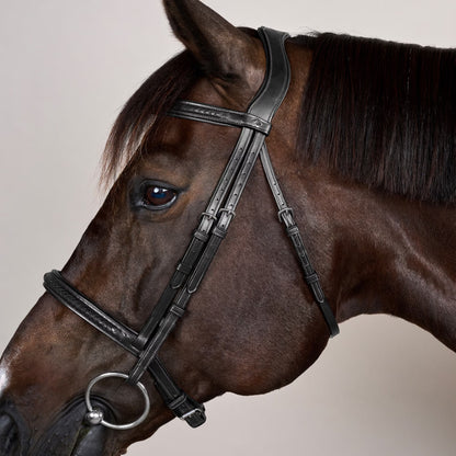 Dy'on Plaited Noseband Bridle without Flash - New English Collection