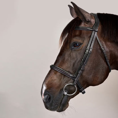 Dy'on Plaited Noseband Bridle without Flash - New English Collection