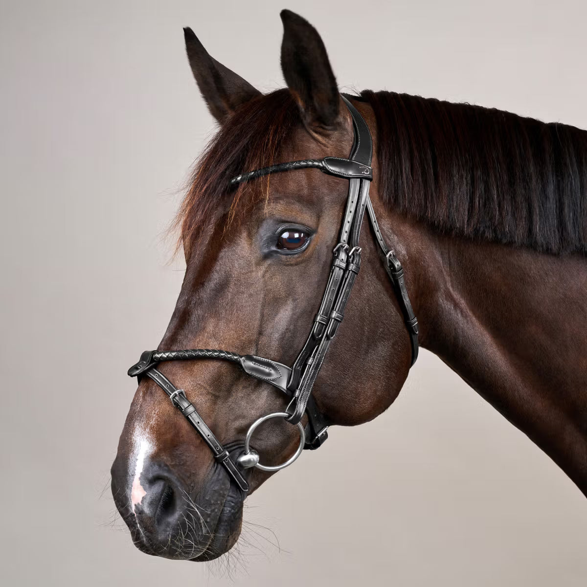 Dy'On Braided Noseband Bridle with Removable Flash - New English Collection