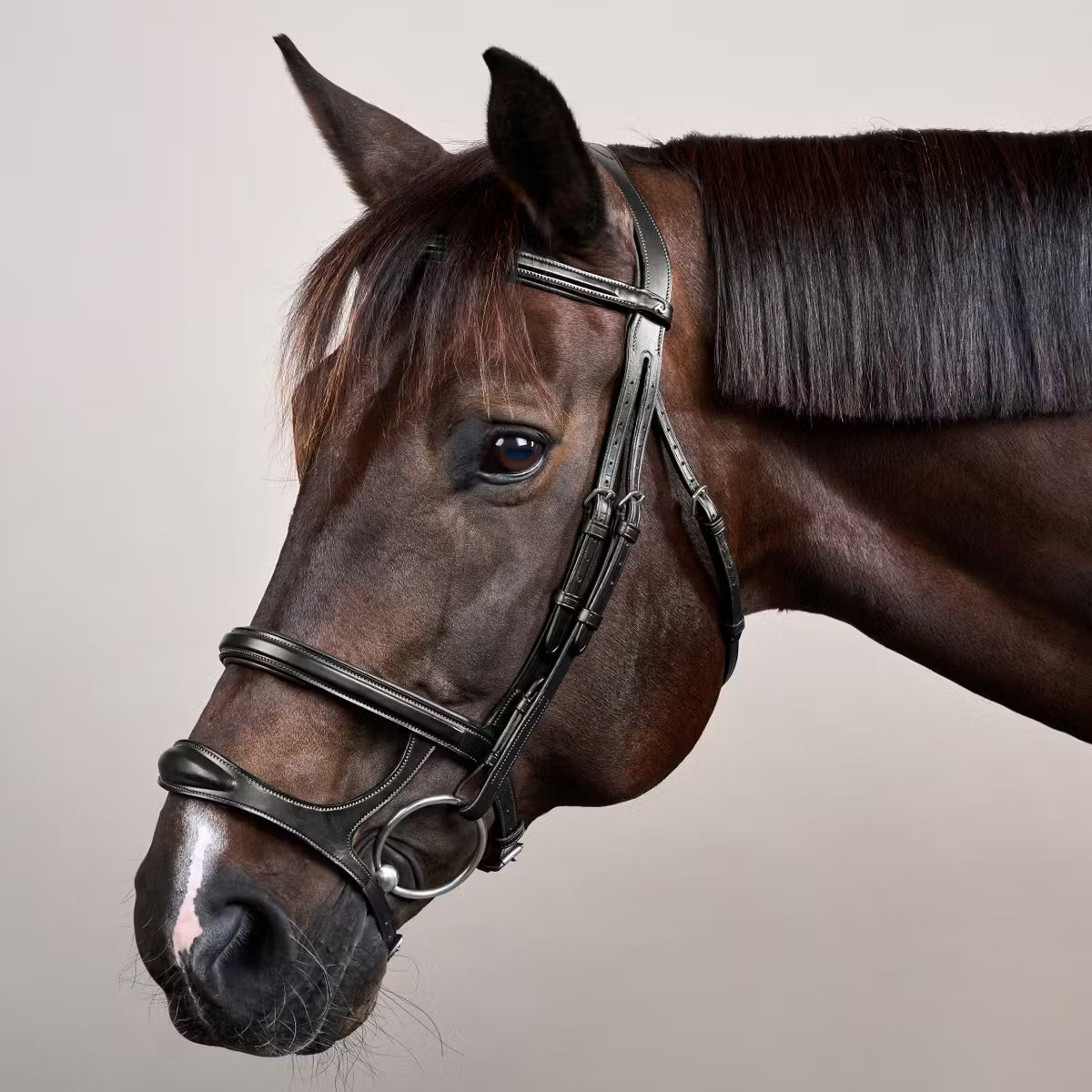 Dy'On Double Noseband Bridle - New English Collection