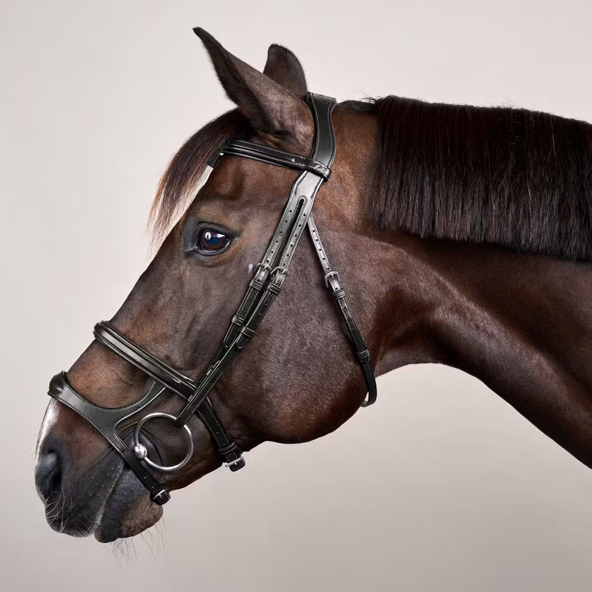 Dy'On Double Noseband Bridle - New English Collection