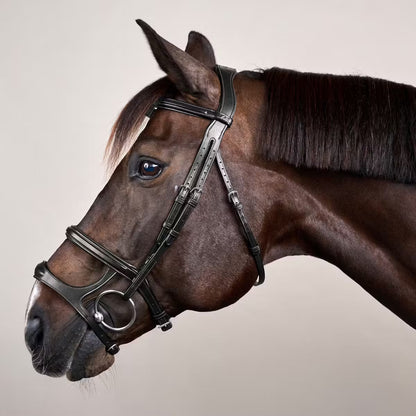 Dy'On Double Noseband Bridle - New English Collection