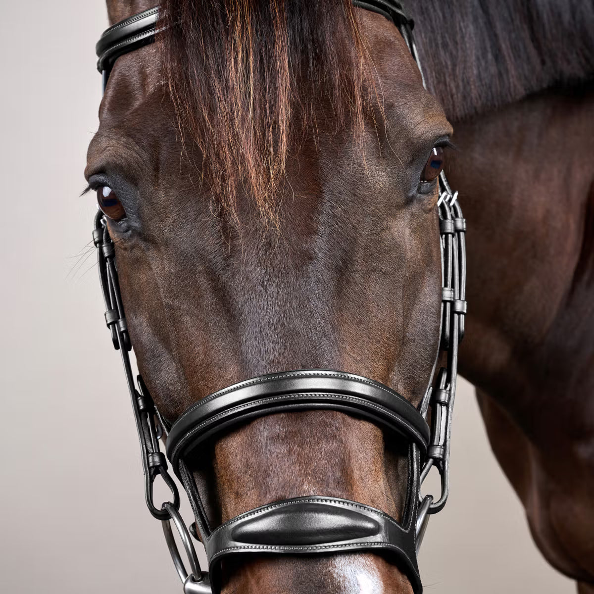 Dy'On Double Noseband Bridle - New English Collection