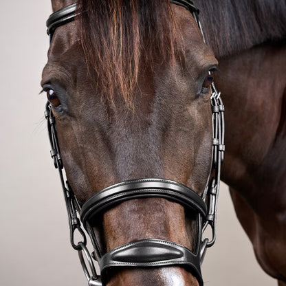 Dy'On Double Noseband Bridle - New English Collection
