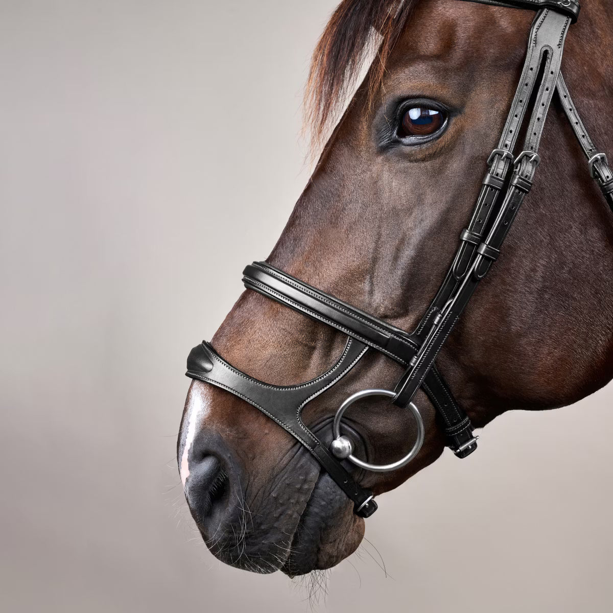 Dy'On Double Noseband Bridle - New English Collection