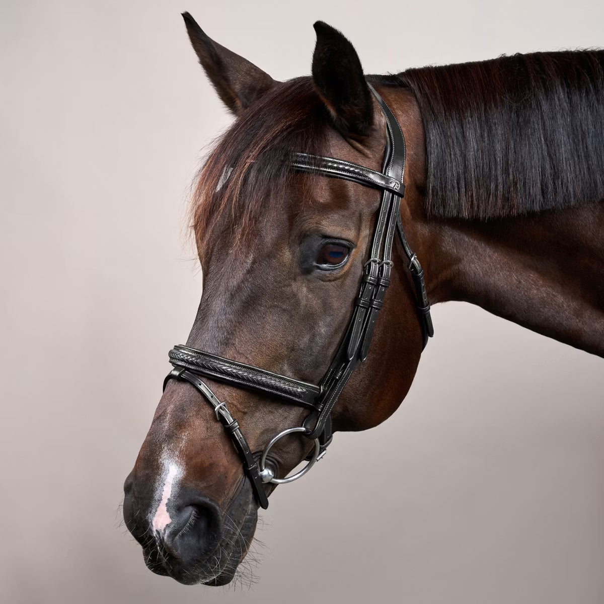 Dy'on Plaited Flash Noseband Bridle - New English Collection