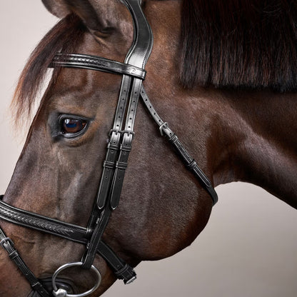 Dy'on Plaited Flash Noseband Bridle - New English Collection