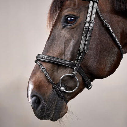Dy'on Plaited Flash Noseband Bridle - New English Collection