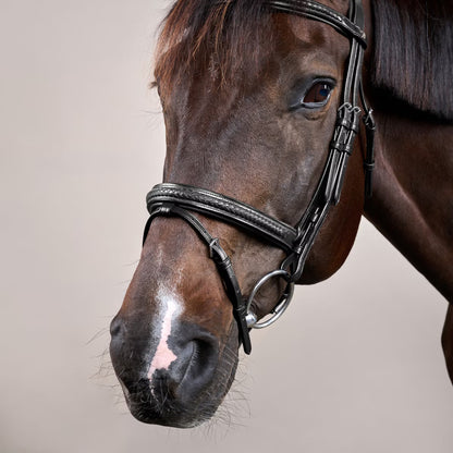 Dy'on Plaited Flash Noseband Bridle - New English Collection