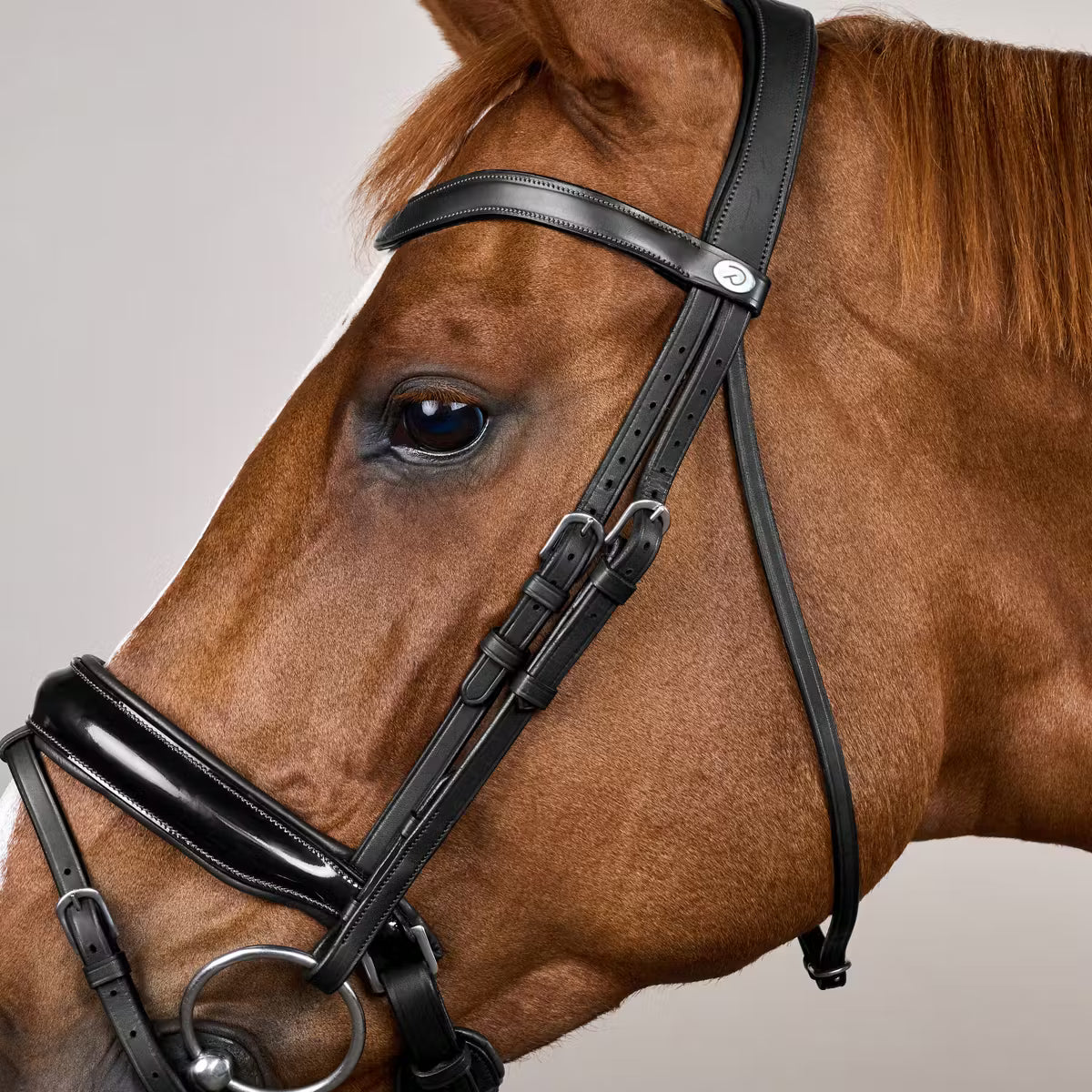 Dy'On Patent Large Crank Noseband Bridle with Flash - Working by Dy'On