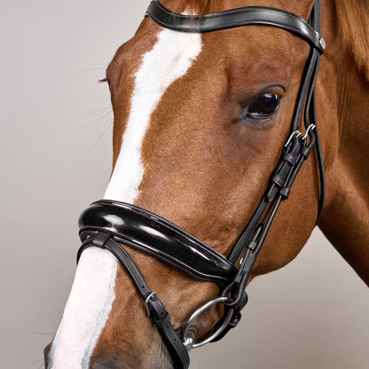 Dy'On Patent Large Crank Noseband Bridle with Flash - Working by Dy'On