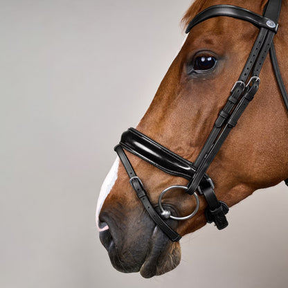Dy'On Patent Large Crank Noseband Bridle with Flash - Working by Dy'On