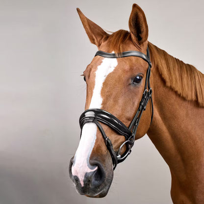 Dy'On Patent Large Crank Noseband Bridle with Flash - Working by Dy'On